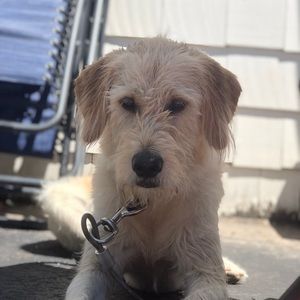 Meet your Posher, Jaimey